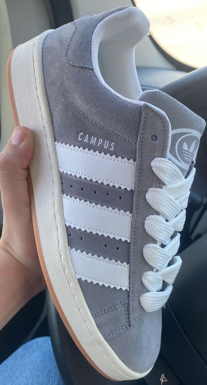 campus Grey