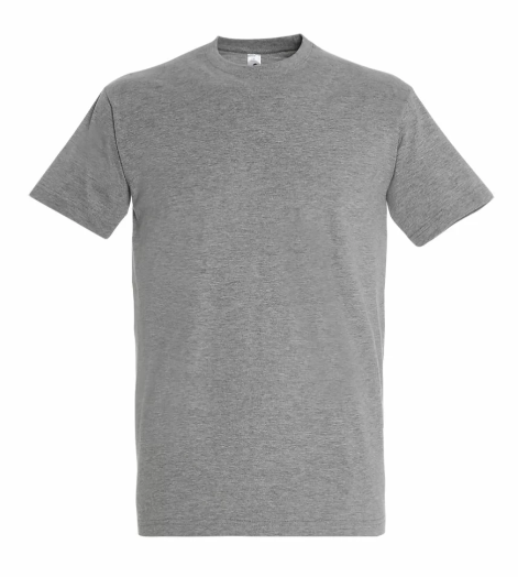 Camiseta Básica Gris