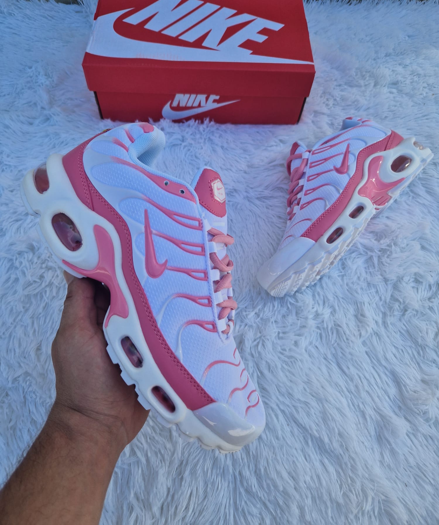 TN "White Pink"